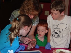 dissecting2